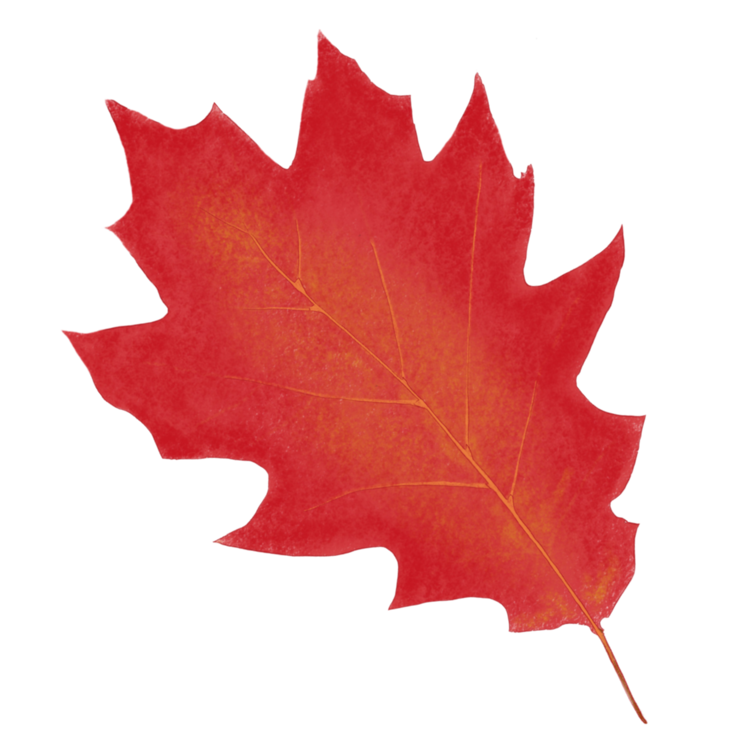 Red Oak Bakery & Larder